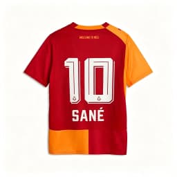 26/27 Season Galatasaray Football Jersey Shirt, Men Summer New 3D Sports Tshirt, Training Breathable Quick Drying Sweatshirt