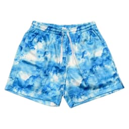 American Street Style Minimalism in Color and Pattern Men's Athleisure Mesh Shorts Summer Quick-drying Soft Lightweight Stylish