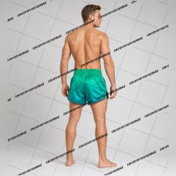New Fairtex Muay Thai Shorts - BS1953 Quantum Men's Oversized Breathable Speed Drying Gym Octagonal Cage Training Shorts