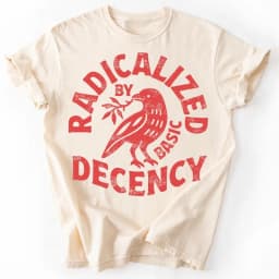Men's Vintage T Shirt Funny Radicalized by Basic Decency Meme T Sthirt Women Streetwear Cotton Oversized Tee Unisex Short Sleeve