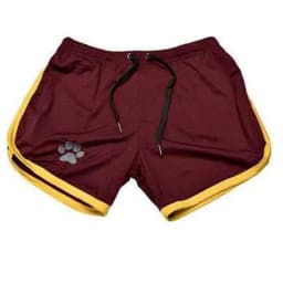 Men Gym Fitness Shorts Bodybuilding sports Jogging shorts Male 2022 Summer Cool Breathable Mesh The big size casual men Shorts