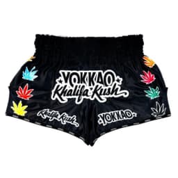 2026 New Muay Thai Shorts, Men's Breathable Boxing Trunks, MMA Kickboxing Training Pants, Elastic Waist Combat Sports Fight Gear
