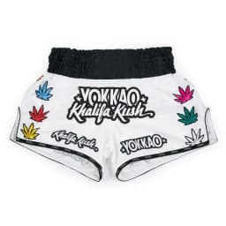 2026 New Muay Thai Shorts, Men's Breathable Boxing Trunks, MMA Kickboxing Training Pants, Elastic Waist Combat Sports Fight Gear