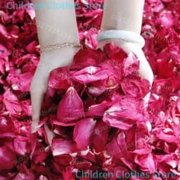 500g 2025 Fresh Rose Flowers Natural Dried Rose Petals Bath Dry Flower Petal Spa Whitening Shower Aromatherapy Bathing Supply