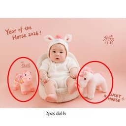 Newborn Photography Props 2026 Pink Horse Year Theme Set Blanket Outfit Set Horses Doll Decors for Studio Photoshoot Clothing