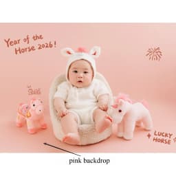 Newborn Photography Props 2026 Pink Horse Year Theme Set Blanket Outfit Set Horses Doll Decors for Studio Photoshoot Clothing