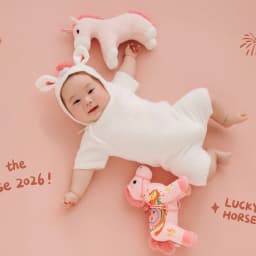 Newborn Photography Props 2026 Pink Horse Year Theme Set Blanket Outfit Set Horses Doll Decors for Studio Photoshoot Clothing