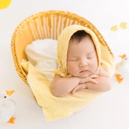 Simple Rattan Basket Photography Props Newborn Photoshoot Props Handmade Woven Retro Bamboo Baskets Studio Shooting Accessories