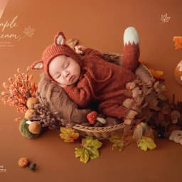 Newborn Photography Props for Baby Photoshoot Fall Season Theme Set Handmade Knitted Fox Outfit with Backdrop Maple Leaves Decor