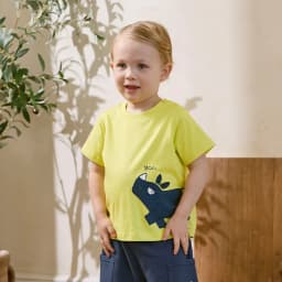 Dave Bella Boys Summer T-shirt 2PCS Set Childern Short Sleeve Top+Shorts Suits Kids Clothing Casual Trousers Pullover DB2262032