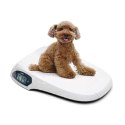 [HuBDIC] Accurate Newborn Scale Baby Kidney Weighing Parenting Supplies Pet Hus-315B