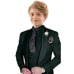 Txjojn Jacquard Boys Suit Set 3 Pieces Wedding Ring Bearer Outfit Handsome Shawl Lapel Child Tuxedo Stage Performance Outfit