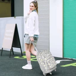 3Pcs Gray Daisy Wheeled Backpack Set Trolley School Bag with Lunch Box Pencil Case