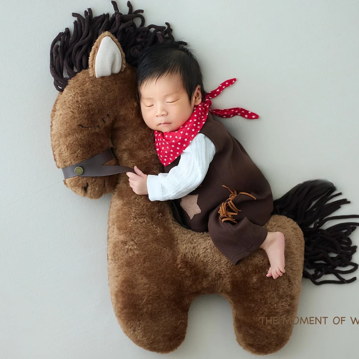 Newborn Photography Props for Baby Photoshoot Cute Posing Horse Doll with Cool Cowboy Outfit Set Backdrop Set for Studio Shoots