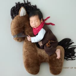 Newborn Photography Props for Baby Photoshoot Cute Posing Horse Doll with Cool Cowboy Outfit Set Backdrop Set for Studio Shoots