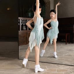 Latin Dance Tassel Dress Irregular Mesh Dance Outfit Professional Practice Costume Stage Performance Attire Daily Training Wear