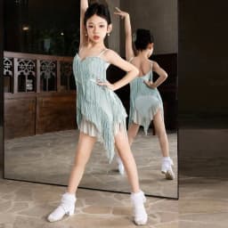 Latin Dance Tassel Dress Irregular Mesh Dance Outfit Professional Practice Costume Stage Performance Attire Daily Training Wear