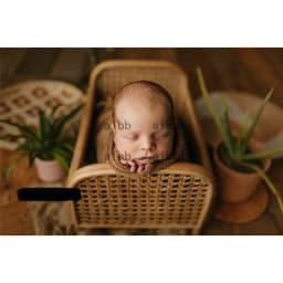 Newborn Photography Props Handmade Vintage Bamboo Chair baby bed girl Boy Photography Props Newborn Photo Posing Props Baby Crib