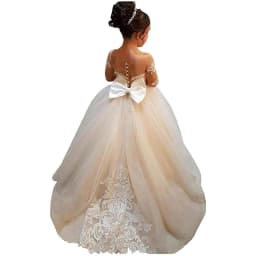 Flower Girl Dress with Lace Embroidery and Tulle Long Sleeves Children's Trailing Train Gown