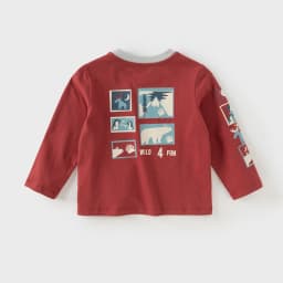 Dave Bella Boys Long Sleeve T-Shirt Kids Cartoon Printed Autumn Spring T-shirt Tops Baby Cotton Casual Outdoor Clothes DB3252796