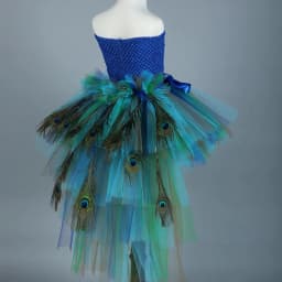 Fluffy Layered Peacock Feathers Clothing for Girls Birthday Halloween Outfit with Long Tail for Kids High Low Princess Dresses