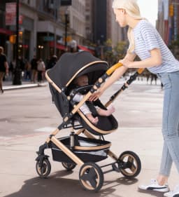 Luxury High Landscape 3-in-1 Baby Stroller Reversible Riding Direction Compact Fold Solid Structure All Weather Infant Pushchair Home & Travel