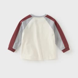 Dave Bella Boys Long Sleeve T-Shirt Kids Printed Autumn Spring T-shirt Tops Children Cotton Casual OUtdoor Clothes DB3252467
