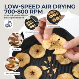 11-in-1 12 Inch Pizza Oven & Air Fryer