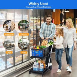 2‑Tier Collapsible Shopping Cart with Removable Crate and Rolling Wheels, Portable Utility Grocery Cart for Errands, Shopping, Warehouse and Home Storage