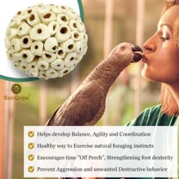 Foraging Balls For Small Pets, White Soft Shred Material, 2-Inch Size, Promotes Natural Chewing And Foraging Behavior