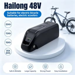 [US Direct]Aleaivy 48V 20Ah Hailong Lithium Ion Battery, 30A BMS 960Wh 4‑PIN Connector, Replacement E‑Bike Battery for 200W‑1500W Electric Bike, UL2849 UL2272 UL2271 Certified, with US 54.6V 2A Charger & Mounting Accessories