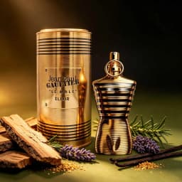 Jean Paul Gaultier Le Male Elixir Delivers Masculine Charm, Hot Spices Mixed With Warm Vanilla And Smoky Wood. Distinctive Rich Aroma Builds Mature Sexy Impression For Dating.