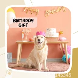 Luxury Gold Metal Dog Chain Collar Bling Pet Jewelry Necklace For Small Medium Large Dogs Cats Fashion Pet Accessory