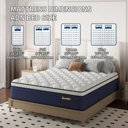 8 10 12 14 Inch Queen Size Mattress,King Sizes Mattress, Full Size Mattress,Twin Sized Mattress, Bagged Spring And Memory Spong