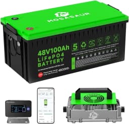 48V 100Ah LiFePO4 Golf Cart Battery, 10.24kW Peak Power & 4000+ Cycles, Built-in 200A BMS | with 48V 18A Lithium Battery Charger, LCD Screen & APP Monitoring | for Golf Carts, RV,