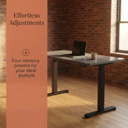 Height Adjustable Electric Standing Desk, 71 X 30 Inches Sit Stand up Desk, Memory Computer Home Office Desk