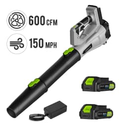 Deli 21V Cordless Leaf Blower 150MPH 600CFM with 2 Batteries and Charger Lightweight for Lawn Care Patio