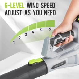 Deli 21V Cordless Leaf Blower 150MPH 600CFM with 2 Batteries and Charger Lightweight for Lawn Care Patio