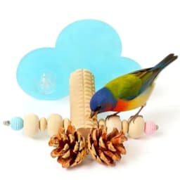 Natural wood bird perch with pine cone foraging chew toys interactive platform stand beak exercise toy for cockatiels, parakeet