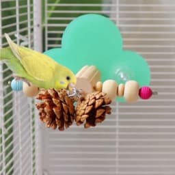 Natural wood bird perch with pine cone foraging chew toys interactive platform stand beak exercise toy for cockatiels, parakeet