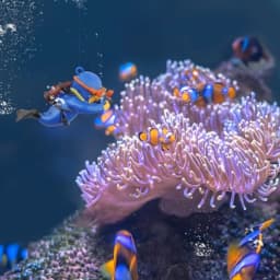 Floating Fish Tank Decorations, Aquarium Decorations, Lovely Diver Fish Tank Decorations, Floating Device Fish Tank Accessories