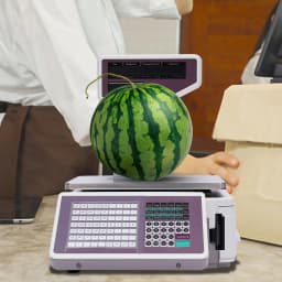Electronic Weighing Scale With Barcode Printer, Dual Display POS Scale 30kg Capacity, Price Computing Retail Scale For Supermarket Fruit Shop, US Plug