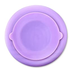 Silicone Slow Feeder Bowl for Pets, Purple Rainbow