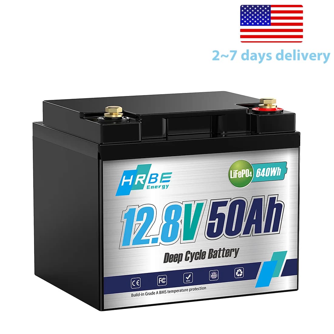 12V 50Ah LiFePO4 Lithium Battery, 4000+ Deep Cycle Rechargeable Battery, Built-in Smart BMS, for Home Solar Storage, Outdoor Camping, RV, Marine, UPS Backup Power Supply, Maintenance-Free, 10-Year Long Lifespan