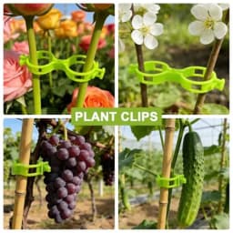 Gardening application, plastic material, bright green color, 150 pcs plant support clips with 3 adjustable ties for tomato, gra