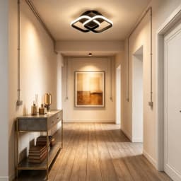 Modern Ceiling Light Small LED Asile Lamp Corridor Lights Square Ceiling Lamp Lighting Fixtures 3-Color Dimming for Bedroom Kitchen Living Room Study Hallway White Black Ceiling Lamp for Dining Room