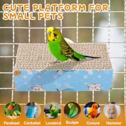 Bird Chew Toy for Parrot Cage Perch: Cardboard Platform Exercise Toy in Natural Brown, Eco-Friendly Beak-Safe