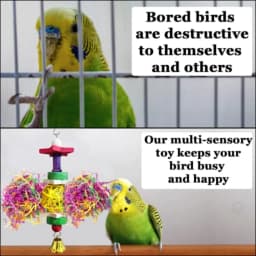 Parakeet Toy for Small and Medium Parrots, Cockatiels, Lovebirds and Finches: Brightly Colored Hanging Toy Made of Rattan, Wood