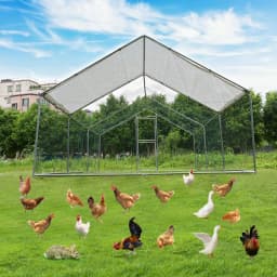 Heavy-Duty Large Metal Chicken Coop Run 6M X 3M 20ft X 10ft Sturdy Metal Frame Outdoor Backyard Garden Farm Poultry Pen for Hens Ducks Rabbits