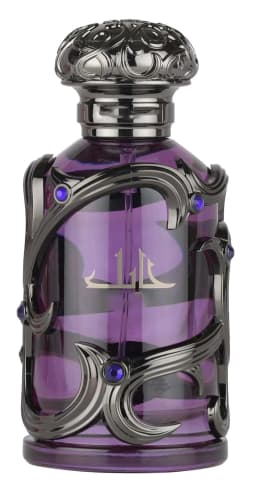 Habik For Men Eau De Parfum 100ml, Arabian Spicy Woody Amber Long‑Lasting Cologne Perfume Spray